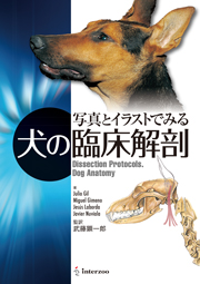 獣医学本・書籍・ビデオ・雑誌・DVD エデュワードプレスオンライン / 獣医整形内科Ⅱ 運動器疾患のプライマリー診療発刊記念