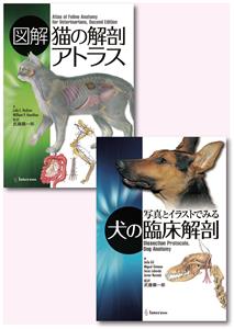 獣医学本 書籍 ビデオ 雑誌 Dvd 洋書 エデュワードプレスオンライン Sold Out 写真とイラストでみる 犬の臨床解剖 図解 猫の解剖アトラス 2巻セット